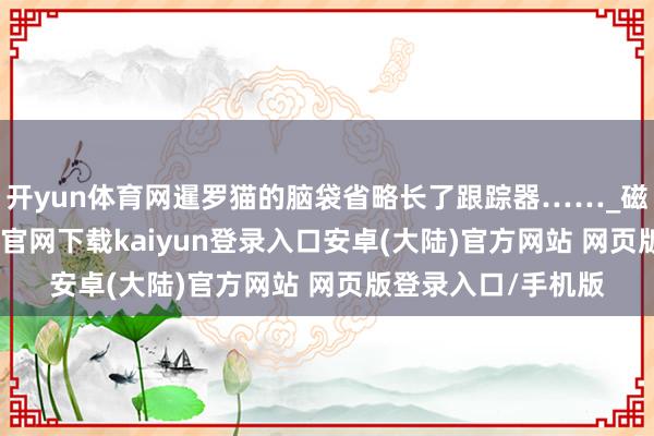 开yun体育网暹罗猫的脑袋省略长了跟踪器……_磁铁_宝宝-开云app官网下载kaiyun登录入口安卓(大陆)官方网站 网页版登录入口/手机版