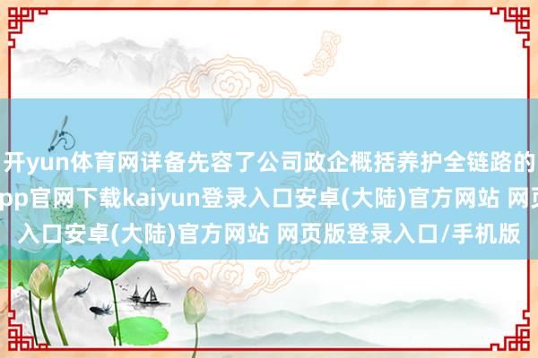 开yun体育网详备先容了公司政企概括养护全链路的举座搞定决议-开云app官网下载kaiyun登录入口安卓(大陆)官方网站 网页版登录入口/手机版